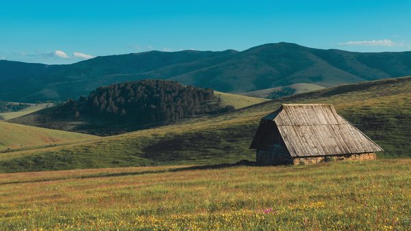 Autentična čobanska koliba na padinama Zlatibora
