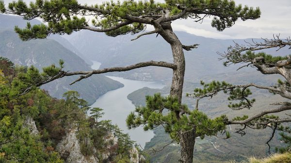 Kanjon reke Drine i smaragdne vode