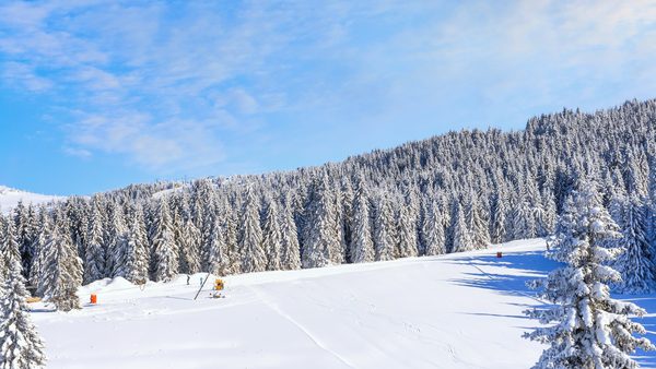 Panorama skijališta Kopaonik pod snegom