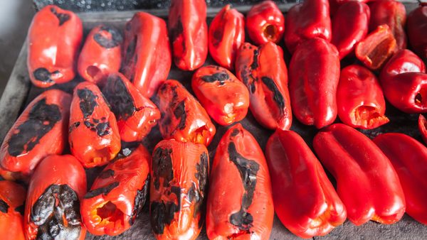 Pečenje crvenih paprika za domaći ajvar