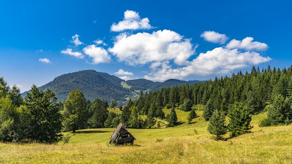 Stara planinska brvnara na Tari