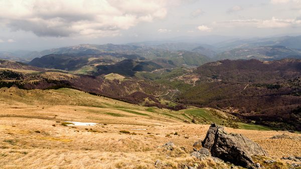 Krečnjačke litice Suve planine