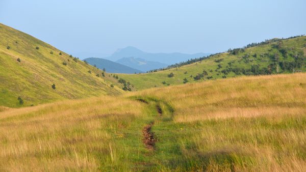 Zlatiborski brežuljci u popodnevnom suncu