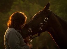 The-Horse-Whisperer