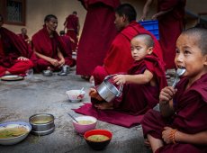 The-Young-Monk-7