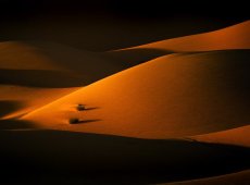 Dune-studies12