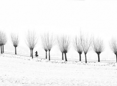 09_FIAP_Mention_Franke_de_Jong_Netherlands_Trees_and_cyclist