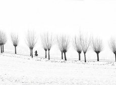 09_FIAP_Mention_Franke_de_Jong_Netherlands_Trees_and_cyclist